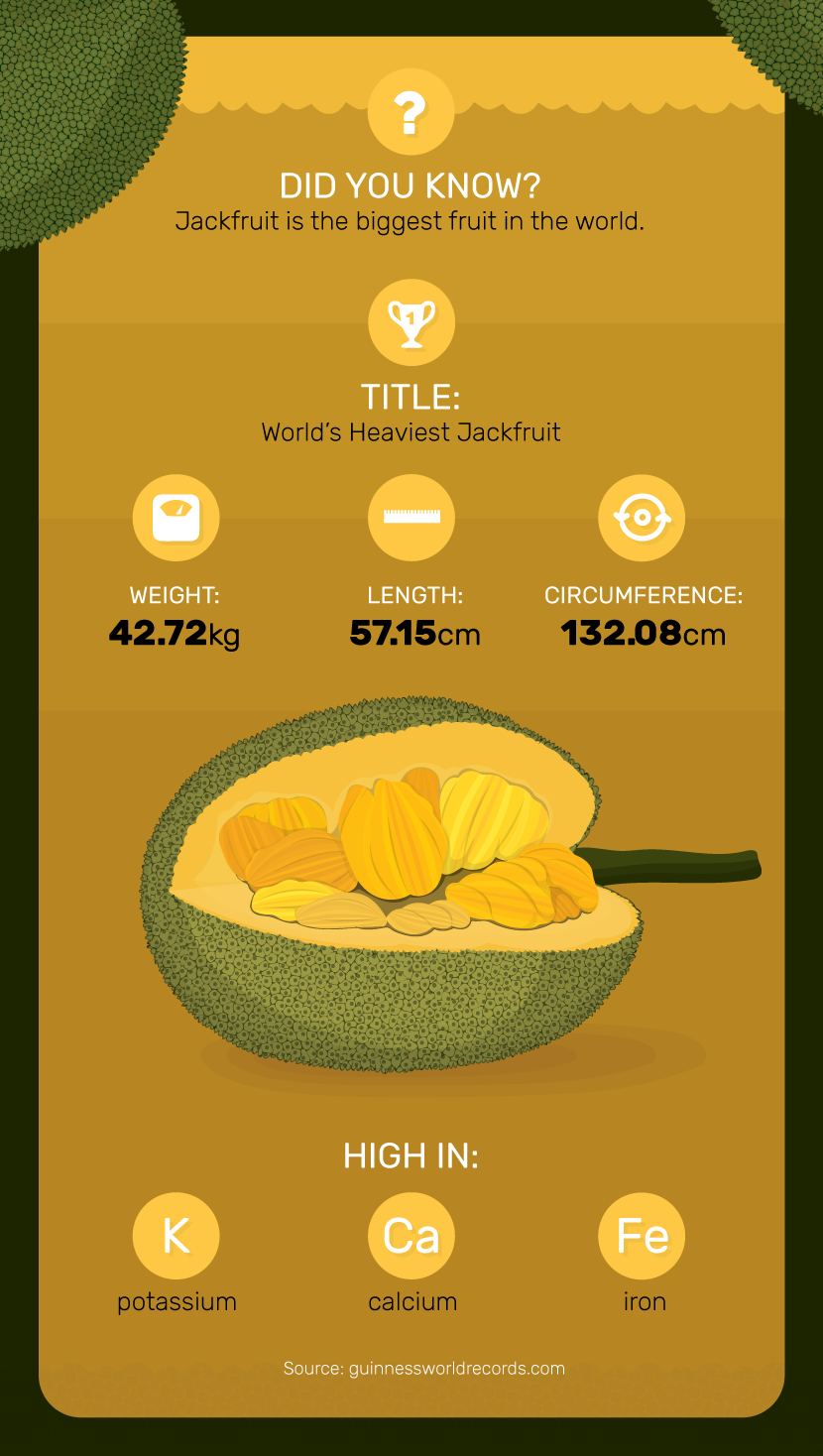 Jackfruit Guide - Jackfruit Facts