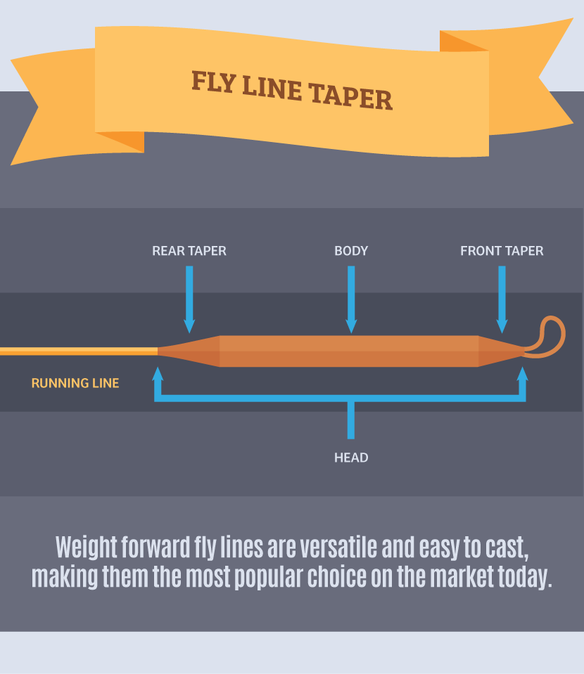 Fly Line Taper - Choosing the Right Fly Fishing Outfit