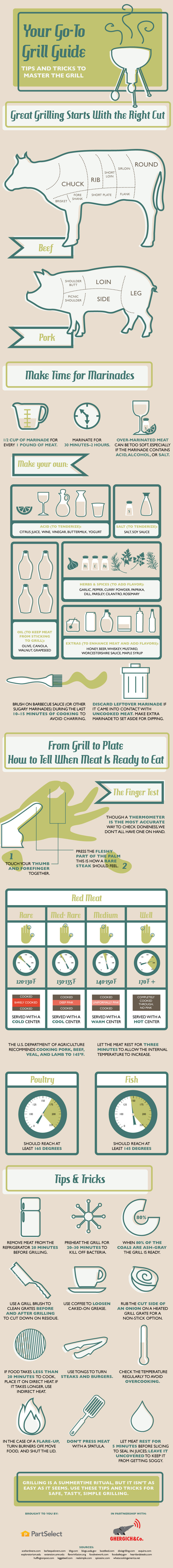 Your Go-To Grill Guide - Tips and Tricks to Master the Grill